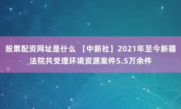 股票配资网址是什么 【中新社】2021年至今新疆法院共受理环境资源案件5.5万余件