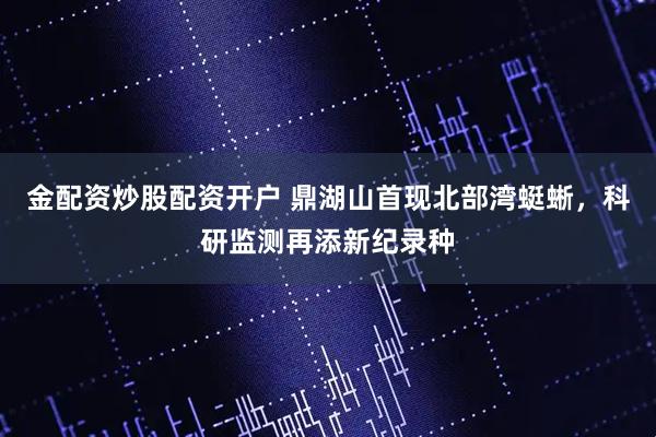 金配资炒股配资开户 鼎湖山首现北部湾蜓蜥，科研监测再添新纪录种